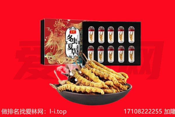 石台县回收虫草.jpg